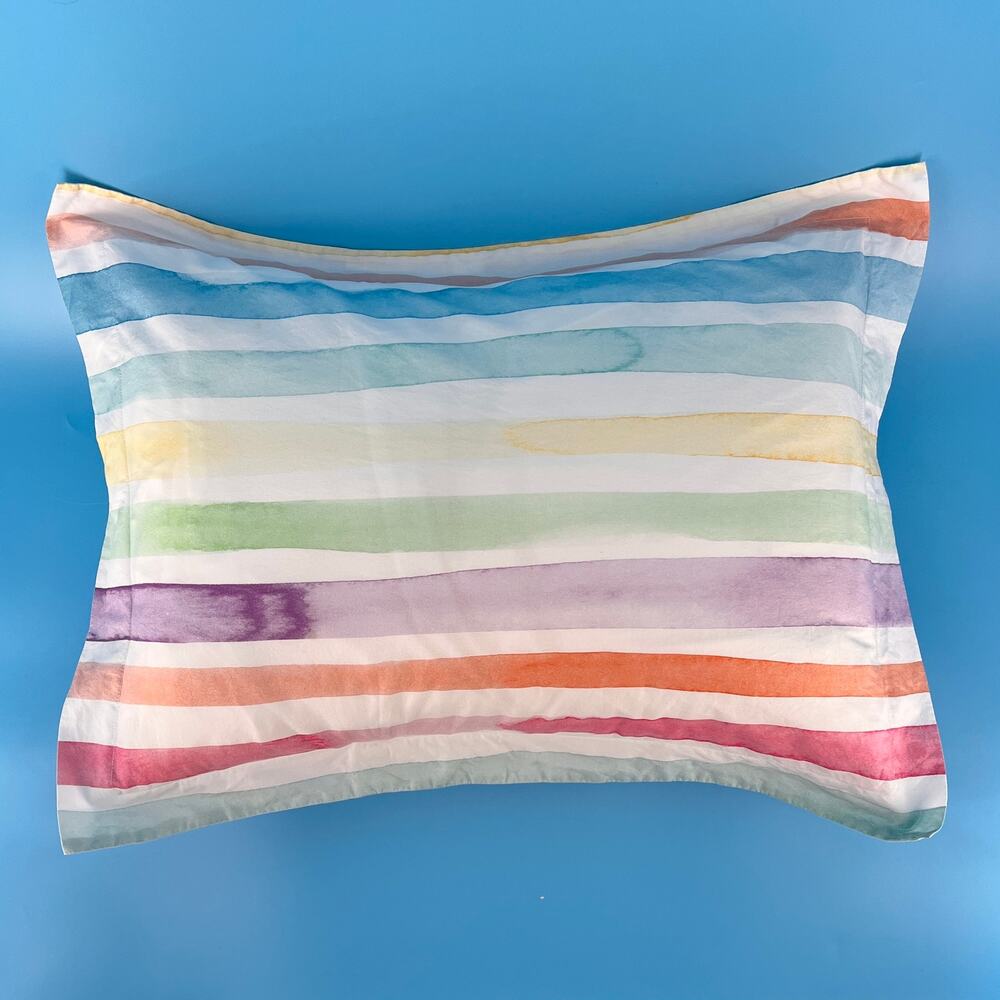 Pottery Barn Kids Kayla Rainbow Stripe Pillow Shams Set of 2